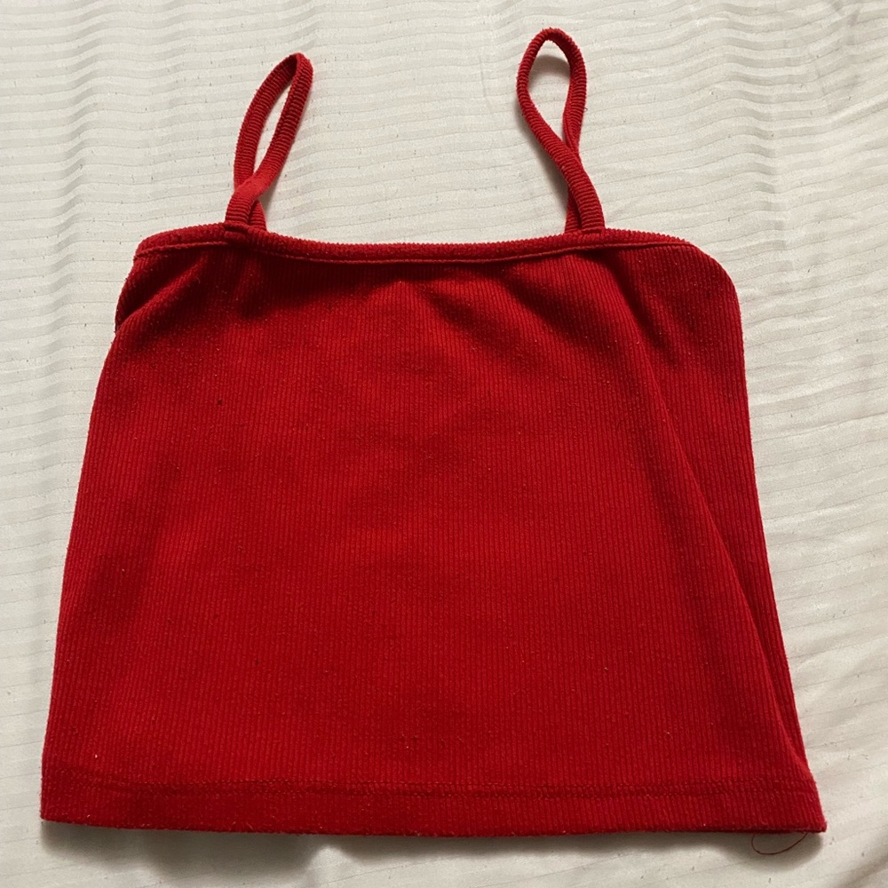 Brandy Melville Crop Top